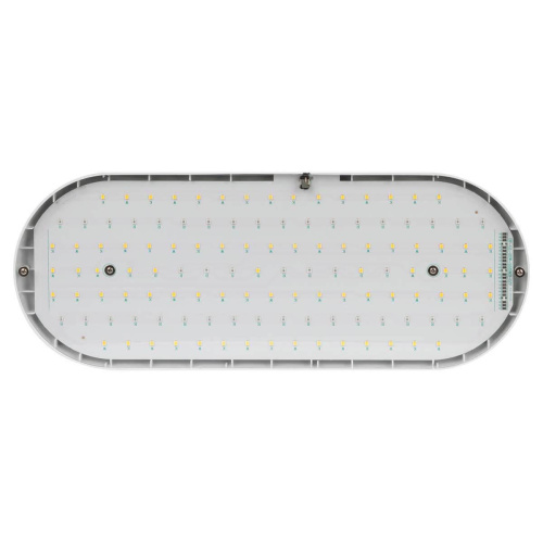 Светодиодный подвесной светильник для растений ЭРА Fito-25W-Qled-Fly Б0053062 Светодиодный подвесной светильник для растений ЭРА Fito-25W-Qled-Fly Б0053062