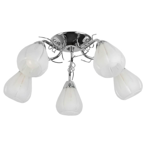 Потолочная люстра Toplight Alexia TL3640X-05CH Потолочная люстра Toplight Alexia TL3640X-05CH