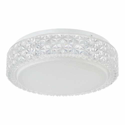 Потолочный светодиодный светильник Freya Alicia FR6309-CL01-12W-W Потолочный светодиодный светильник Freya Alicia FR6309-CL01-12W-W