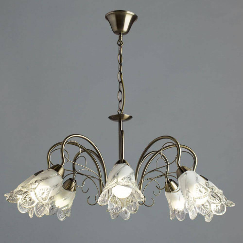 Подвесная люстра Arte Lamp 2 A6273LM-8AB Подвесная люстра Arte Lamp 2 A6273LM-8AB