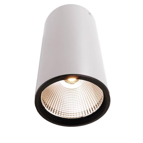 Накладной светильник Deko-Light Luna 40 348063 Накладной светильник Deko-Light Luna 40 348063