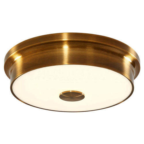 Потолочный светильник Citilux Фостер CL706222 Потолочный светильник Citilux Фостер CL706222