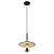 Подвесной светильник Lussole Loft LSP-8488