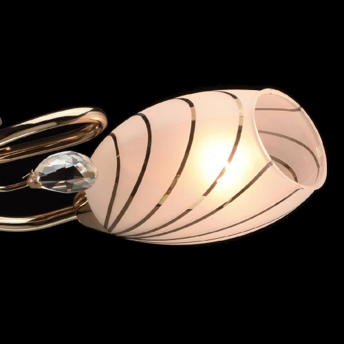 Потолочная люстра MW-Light Фиеста 267012803 Потолочная люстра MW-Light Фиеста 267012803