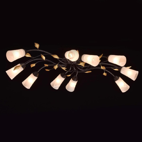 Потолочная люстра MW-Light Восторг 242015410 Потолочная люстра MW-Light Восторг 242015410