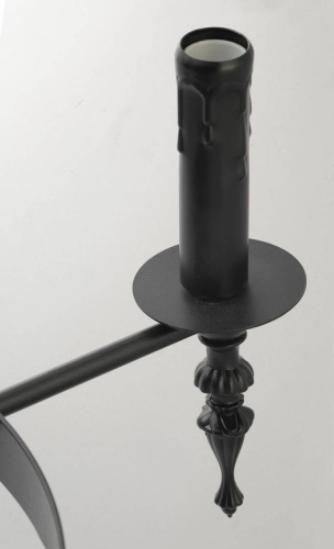Подвесная люстра Lussole Loft IV LSP-9300 Подвесная люстра Lussole Loft IV LSP-9300