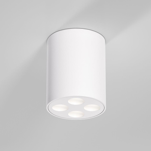 Потолочный светильник Elektrostandard 25111/LED a067483 Потолочный светильник Elektrostandard 25111/LED a067483