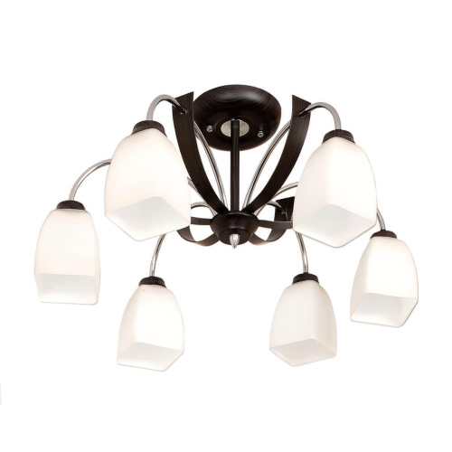 Потолочная люстра Citilux Крокус CL128161 Потолочная люстра Citilux Крокус CL128161