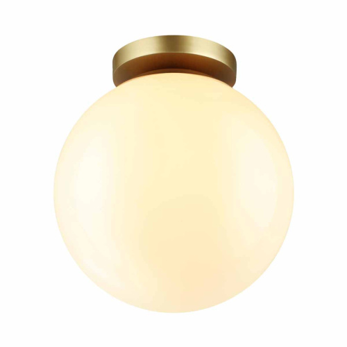 Потолочный светильник Odeon Light Bosco 4248/1C Потолочный светильник Odeon Light Bosco 4248/1C