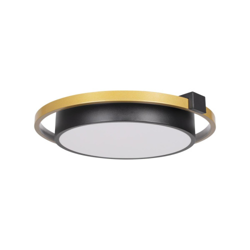 Потолочный светодиодный светильник Loft IT Mike 10169 Потолочный светодиодный светильник Loft IT Mike 10169