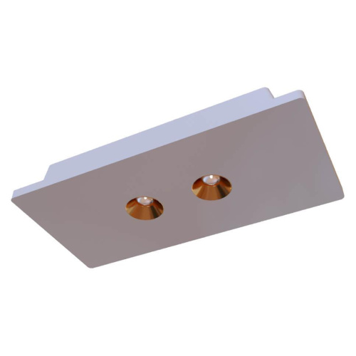 Потолочный светодиодный светильник Loft IT Architect OL1072-WG/2 Потолочный светодиодный светильник Loft IT Architect OL1072-WG/2