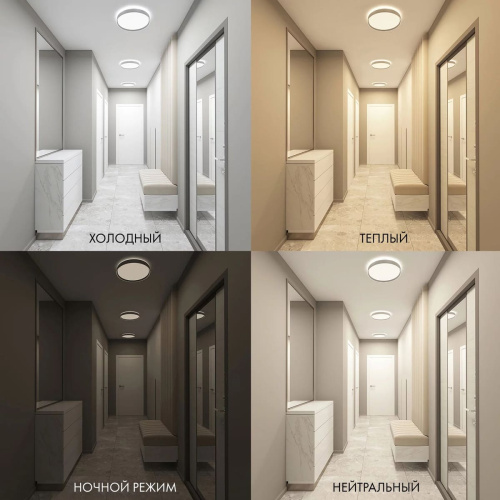 Потолочный светодиодный светильник Denkirs DK6511-WH/1 Потолочный светодиодный светильник Denkirs DK6511-WH/1