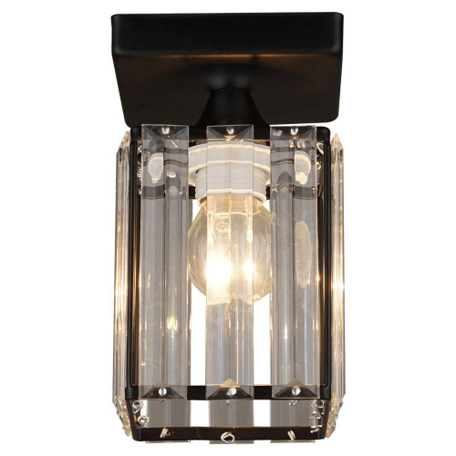 Потолочный светильник Seven Fires Netta WD3519/1C-BK-CL
