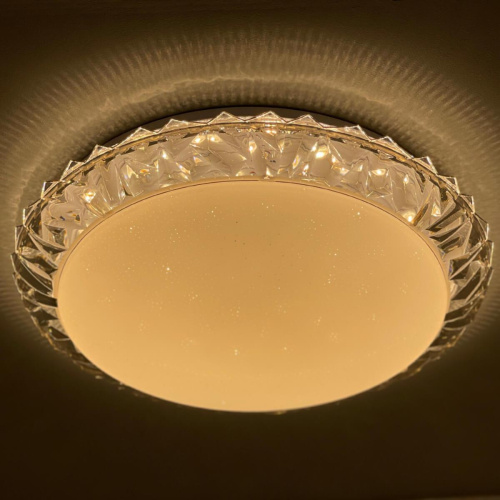 Потолочный светодиодный светильник Profit Light 2076/450 WH+BK RGB Потолочный светодиодный светильник Profit Light 2076/450 WH+BK RGB