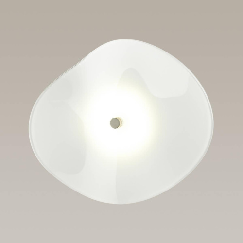 Настенный светодиодный светильник Odeon Light Fluent 4856/5WL Настенный светодиодный светильник Odeon Light Fluent 4856/5WL