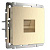 Розетка Ethernet RJ-45 Werkel шампань рифленый W1181010 4690389160608