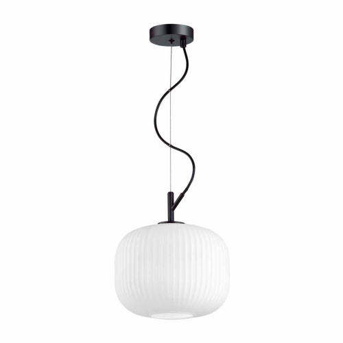 Подвесной светильник Odeon Light Roofi 4753/1 Подвесной светильник Odeon Light Roofi 4753/1