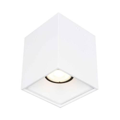 Накладной светильник ST LUCE ST168.502.01 Накладной светильник ST LUCE ST168.502.01