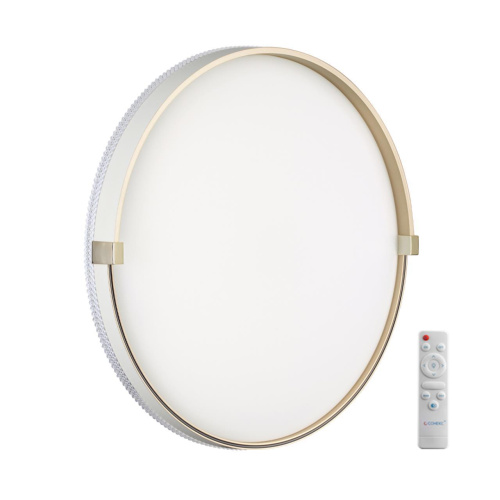 Настенно-потолочный светодиодный светильник Sonex Pale Olidi White 7646/EL Настенно-потолочный светодиодный светильник Sonex Pale Olidi White 7646/EL