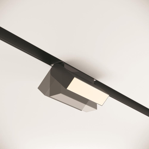 Трековый светодиодный светильник Maytoni Track lamps TR013-2-10W3K-B