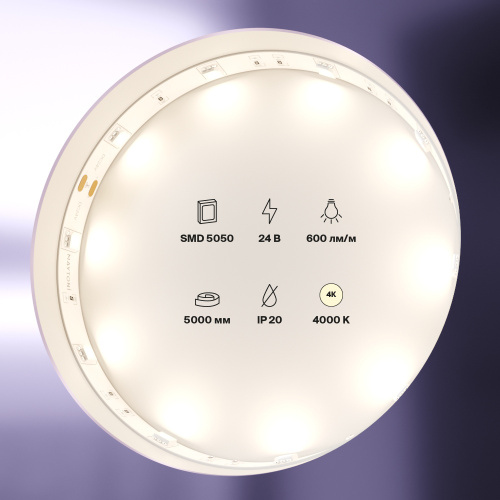 Светодиодная лента Maytoni Technical 7,2W/m 30LED/m 5050SMD дневной белый 5M 10161 Светодиодная лента Maytoni Technical 7,2W/m 30LED/m 5050SMD дневной белый 5M 10161