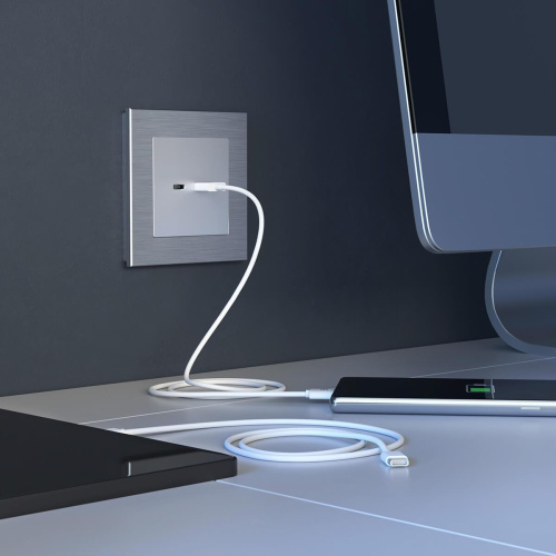 Розетка USB Werkel тип A+С серебряный W1171806 4690389171383 Розетка USB Werkel тип A+С серебряный W1171806 4690389171383