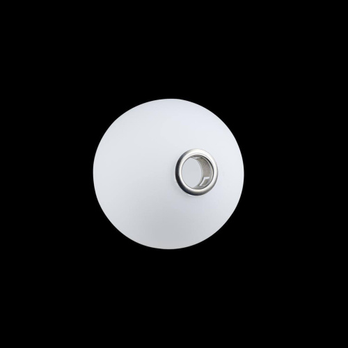 Потолочный светильник Loft IT Matisse 10008/1C white Потолочный светильник Loft IT Matisse 10008/1C white