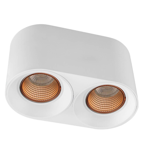 Накладной светильник Denkirs DK3096-WH+BR Накладной светильник Denkirs DK3096-WH+BR