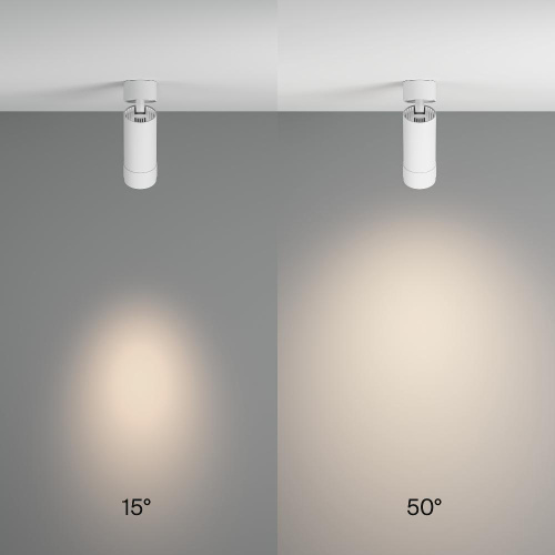 Потолочный светильник Technical C055CL-L12W4K-Z-W