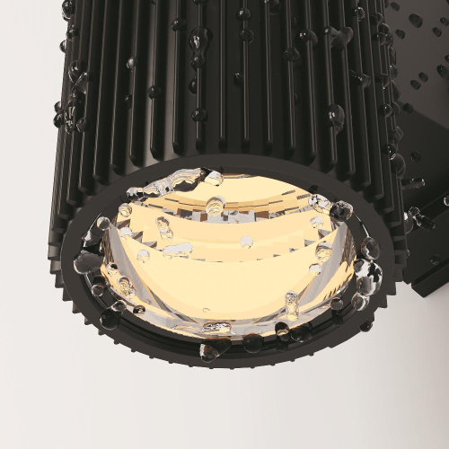 Настенный светильник Maytoni Outdoor O419WL-02B Настенный светильник Maytoni Outdoor O419WL-02B
