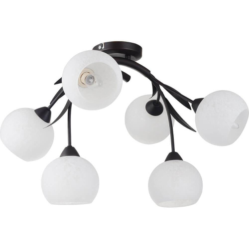 Потолочная люстра Lussole Bagheria LSF-6283-06 Потолочная люстра Lussole Bagheria LSF-6283-06