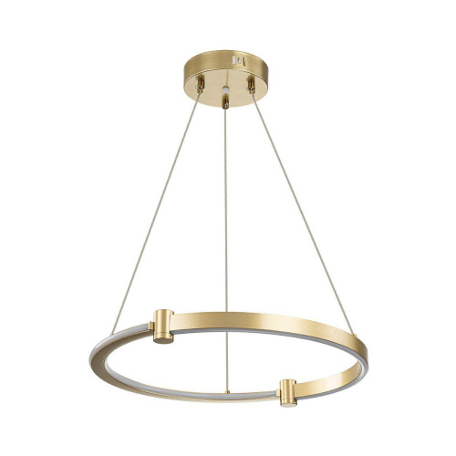 Подвесной светодиодный светильник Indigo Circolato 14015/1P Gold V000077L Подвесной светодиодный светильник Indigo Circolato 14015/1P Gold V000077L