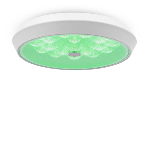Потолочный светодиодный светильник Freya Cells FR10012CL-L24W Потолочный светодиодный светильник Freya Cells FR10012CL-L24W