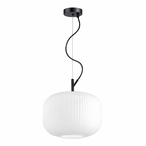 Подвесной светильник Odeon Light Roofi 4754/1 Подвесной светильник Odeon Light Roofi 4754/1