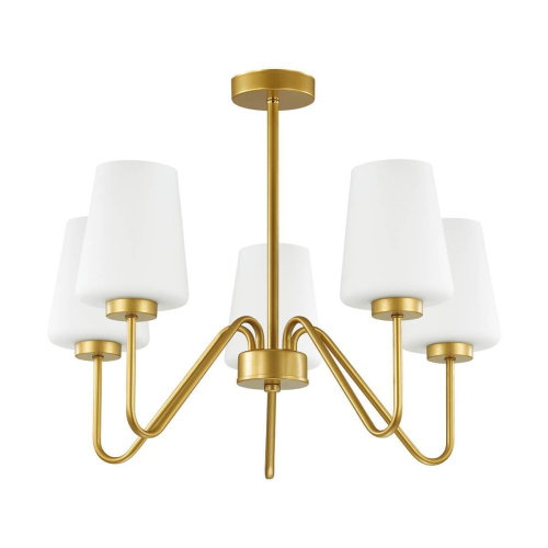 Подвесная люстра Lumion Olivia 3791/5C Подвесная люстра Lumion Olivia 3791/5C