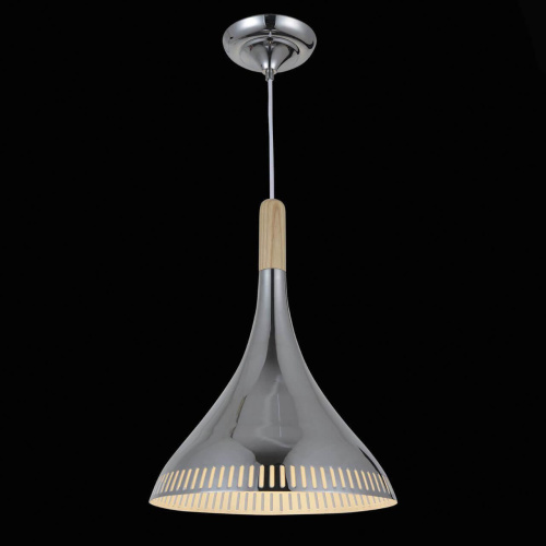 Подвесной светильник ST Luce SL710.103.01 Подвесной светильник ST Luce SL710.103.01