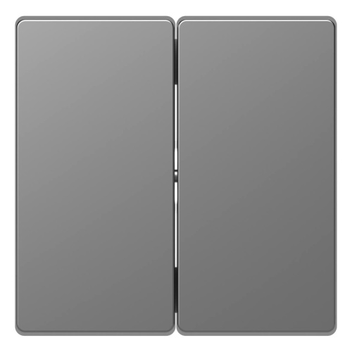 Клавиша двойная Schneider Electric Merten D-Life MTN3400-6036