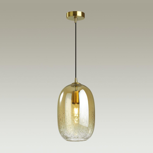 Подвесной светильник Odeon Light Airly 4819/1 Подвесной светильник Odeon Light Airly 4819/1