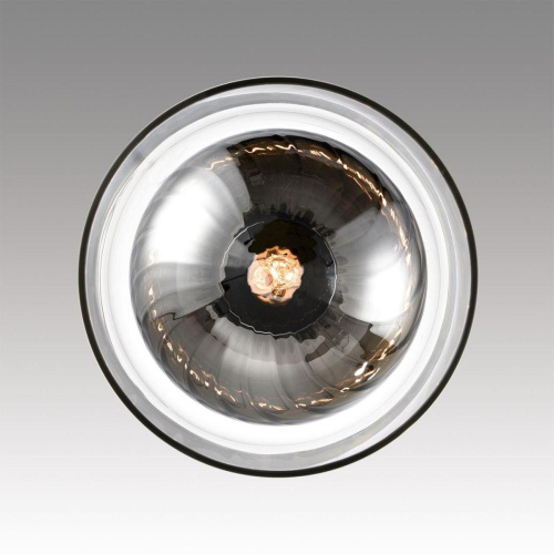 Подвесной светильник Lumion Moderni Gallo 8066/1A Подвесной светильник Lumion Moderni Gallo 8066/1A