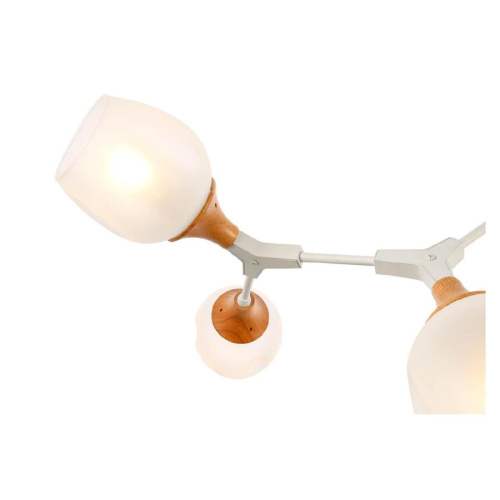 Потолочная люстра Evoluce Ciotolla SLE113502-05 Потолочная люстра Evoluce Ciotolla SLE113502-05