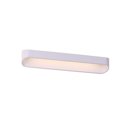 Потолочный светильник ST Luce Mensola SL582.101.01 Потолочный светильник ST Luce Mensola SL582.101.01