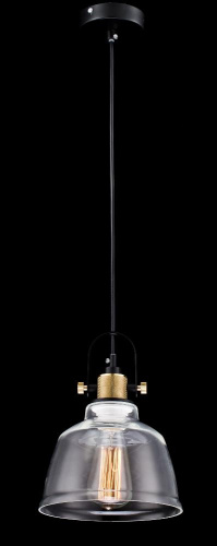 Подвесной светильник Maytoni Irving T163-11-W Подвесной светильник Maytoni Irving T163-11-W