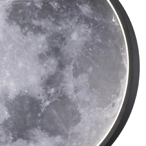 Настенно-потолочный светодиодный светильник Escada Planet 10226/SG LED Moon Настенно-потолочный светодиодный светильник Escada Planet 10226/SG LED Moon