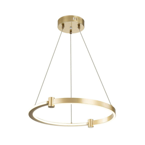 Подвесной светодиодный светильник Indigo Circolato 14015/1P Gold V000077L Подвесной светодиодный светильник Indigo Circolato 14015/1P Gold V000077L