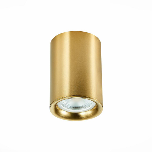 Потолочный светильник ST Luce ST114.207.01 Потолочный светильник ST Luce ST114.207.01