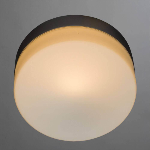 Потолочный светильник Arte Lamp Shirp A3211PL-1SI Потолочный светильник Arte Lamp Shirp A3211PL-1SI