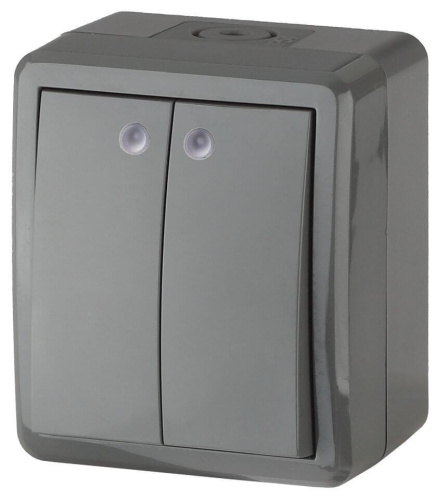 Выключатель двухклавишный с подсветкой ЭРА Эксперт 10AX 250V IP54 11-1405-03 Б0020678 Выключатель двухклавишный с подсветкой ЭРА Эксперт 10AX 250V IP54 11-1405-03 Б0020678