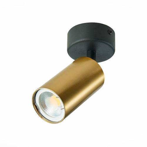 Спот ST Luce ST303.202.01 Спот ST Luce ST303.202.01