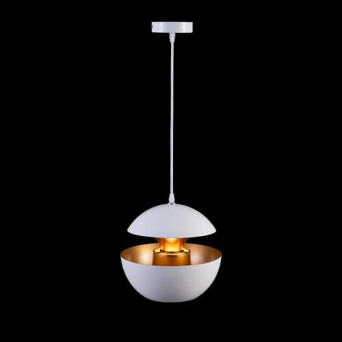 Подвесной светильник Loft IT Apple LOFT2213-A Подвесной светильник Loft IT Apple LOFT2213-A