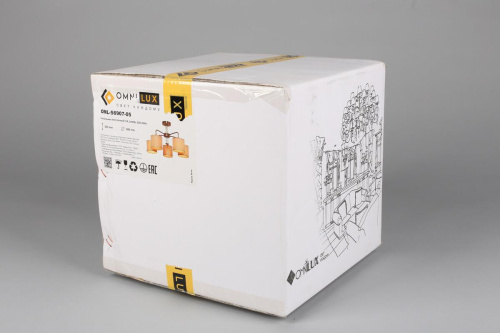 Потолочная люстра Omnilux Barumini OML-56907-05 Потолочная люстра Omnilux Barumini OML-56907-05